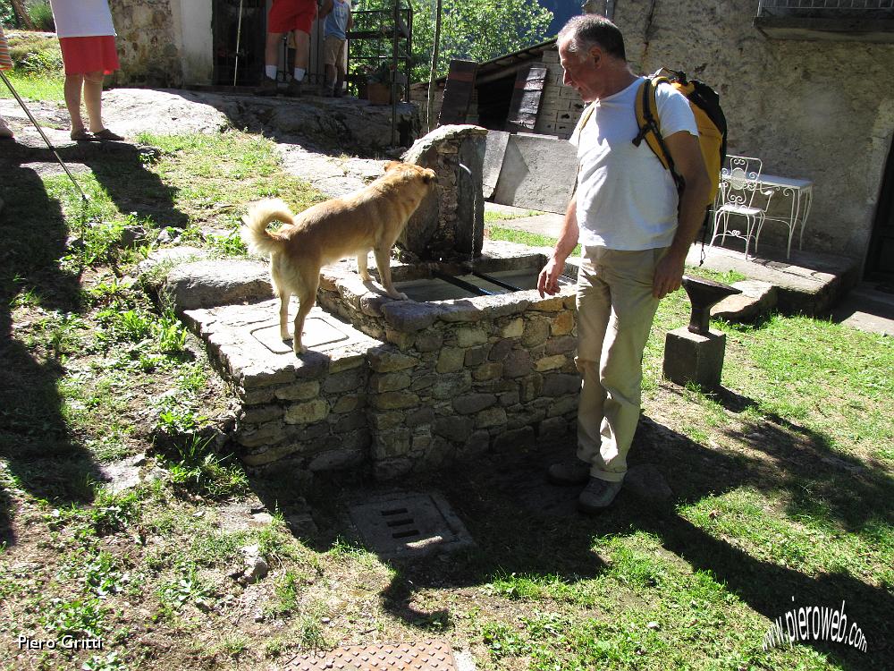 03 ...anche gli amici a quattro zampe.jpg